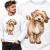 BLUZA ZWIERZĘTA  BOSTON CAVAPOO